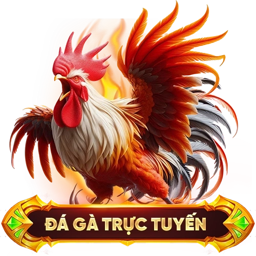 đá gà trực tuyến AE888